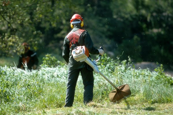 débroussaillage du jardin